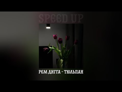 Рем Дигга - Тюльпан