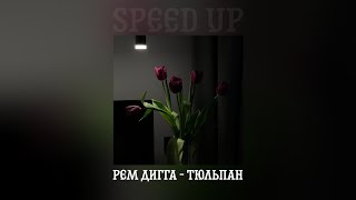 Рем Дигга - Тюльпан (speed up)