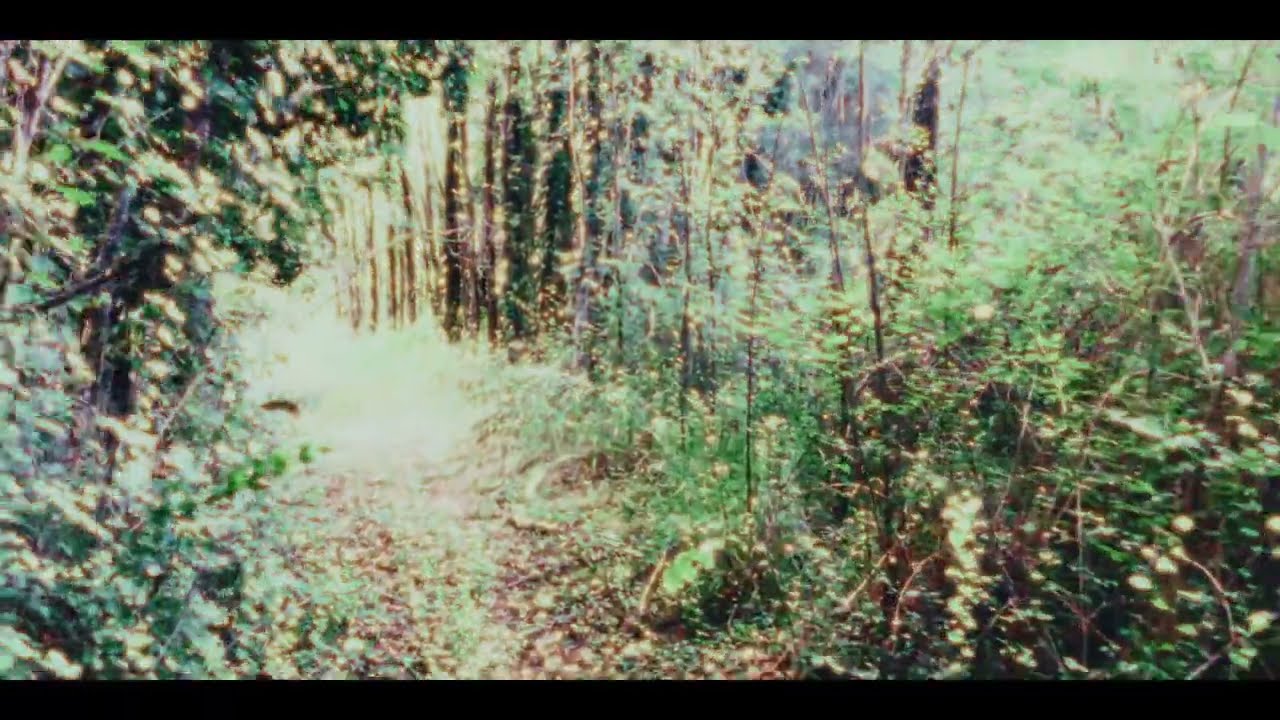 在 YouTube 上观看 5 Horses - Words (Official Video) 在 YouTube 上观看 5 Horses - Words (Official Video)