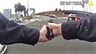 California Crime Spree Ends In Wild Police Shootout