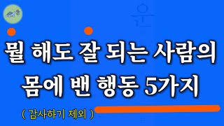 🐢(부자, 운) 이 사소한 행동을 해보세요. 뭘 해도 운이 따르는 사람이 됩니다 / 잠잘때 듣는 운 좋아지는 이야기