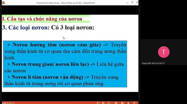 Phân tích đường đi của xung thần kinh khi bị kiến cần