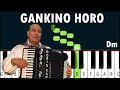 TUTORIAL GANKINO HORO 11/8 (Boris Karlov) accordion / piano keyboard