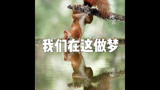 201807 我们在这做梦50489
