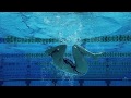 Comment faire un virage en culbute  les meilleurs conseils de la nageuse olympique stephanie rice