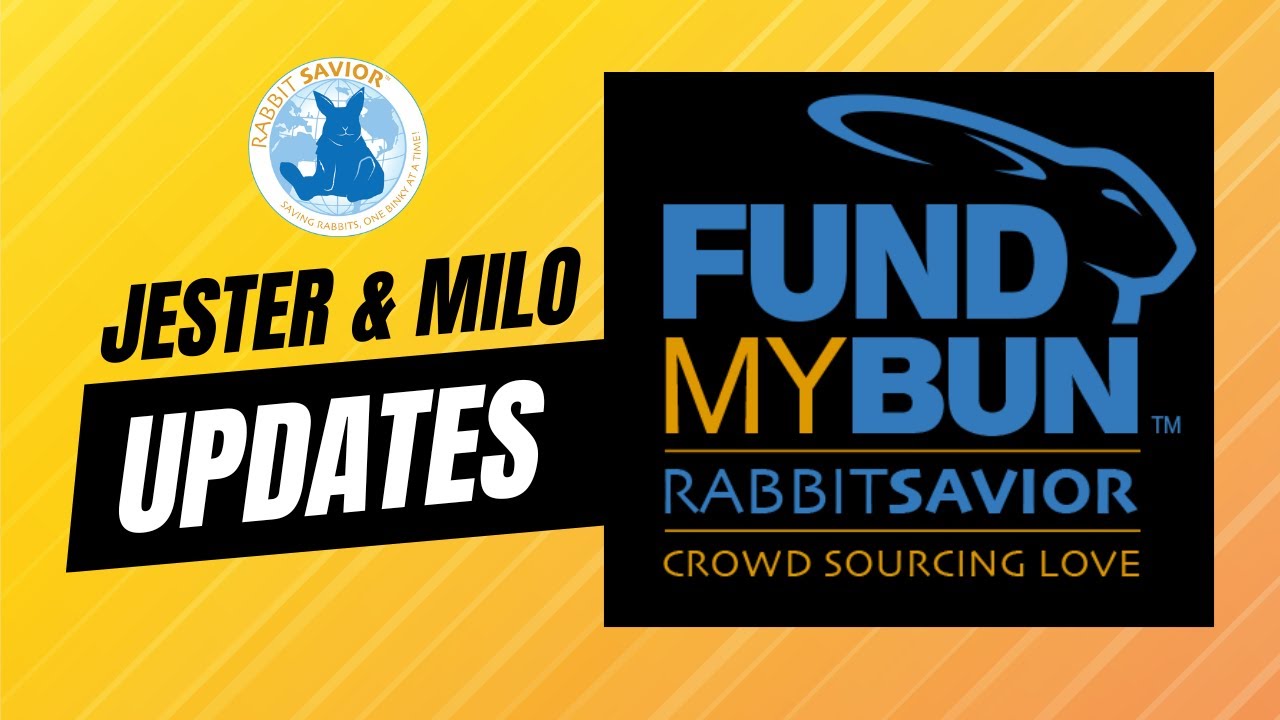 Jester and Milo Updates!