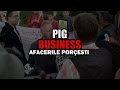 Pig Business - Romanian Version Trailer