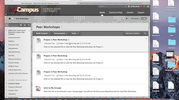 Peer Review Guidelines