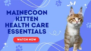 🐾 The Ultimate Guide to Maine Coon Kitten Health Essentials🐱✨#cat #catfacts by European Maine Coon Kittens by MasterCoons Cattery 131 views 2 months ago 1 minute, 52 seconds