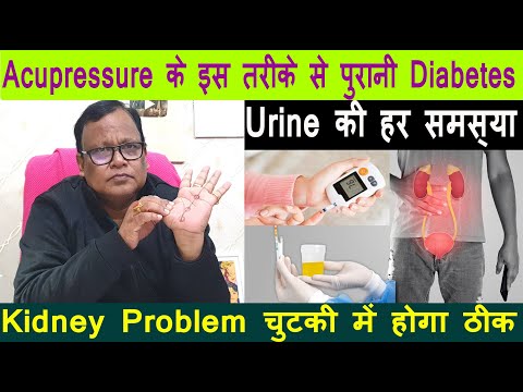 Acupressure के इस माध्यम से पुरानी Diabetes//Urine की हर समस्या//Kidney Problem चुटकी में होगा ठीक |