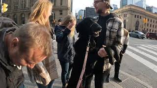 Maybelline and Brownie make some friends  🐕🐕🚶🏼‍♂️🧡 by Chien Lunatique 615 views 2 months ago 3 minutes, 52 seconds