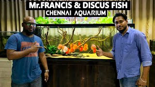 How to Maintain DISCUS FISHES Mr.Francis CHENNAI AQUARIUM Best Quality &amp; Best Clarity Aquarium