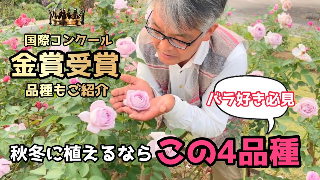 【園芸】2021年秋冬 おすすめ品種を厳選してご紹介