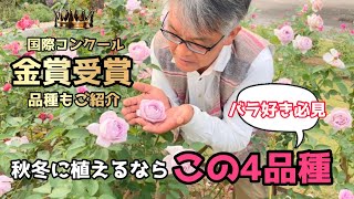 【園芸】2021年秋冬 おすすめ品種を厳選してご紹介