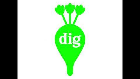 Dig dynamic identity