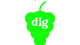 Dig dynamic identity