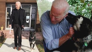 How Joe Biden’s Dogs Will Make History at the White House