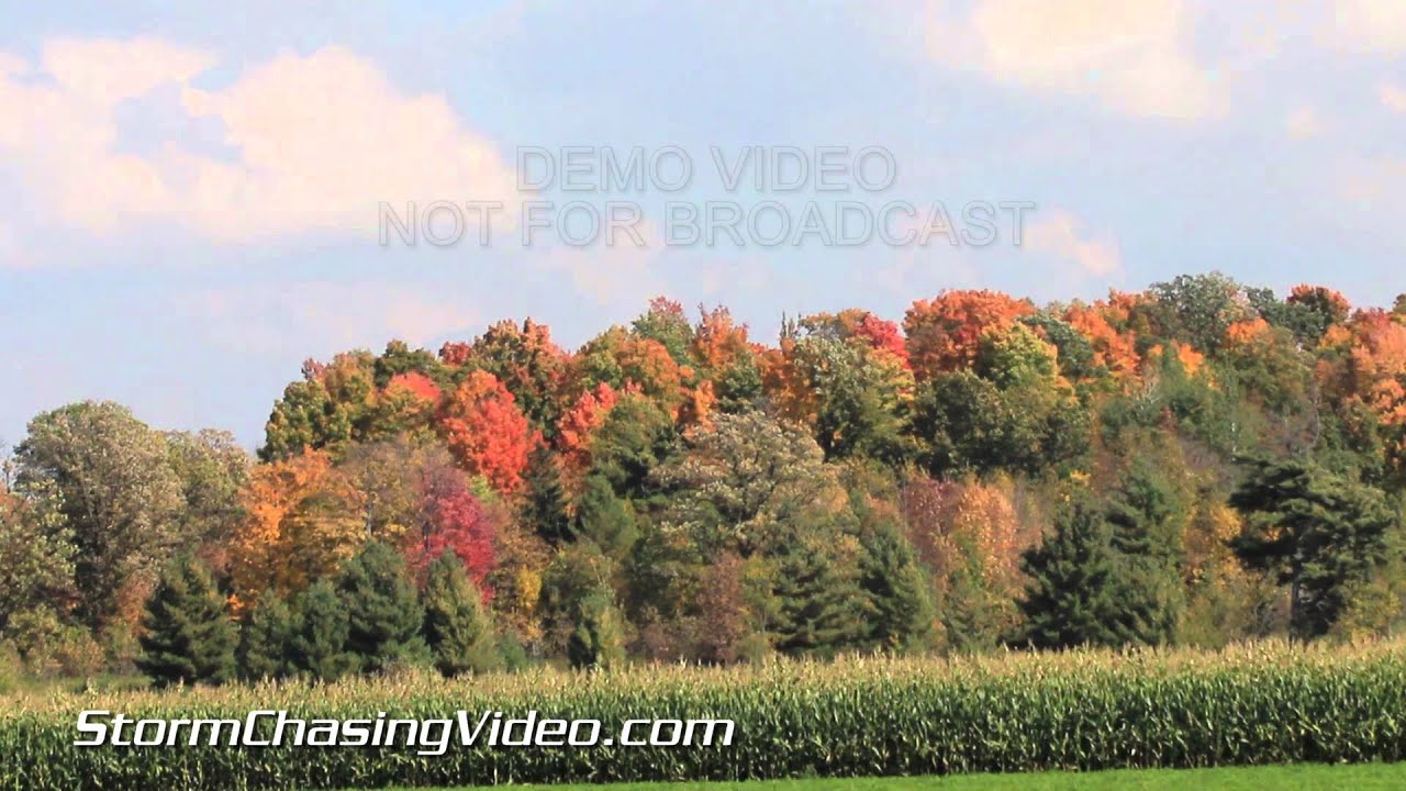 9/28/2014 Northern Barron County WI Fall Colors