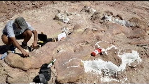 Dinosaur Discovers:  Titanosaur