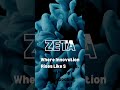Zeta Software: Your Partner in Performance !