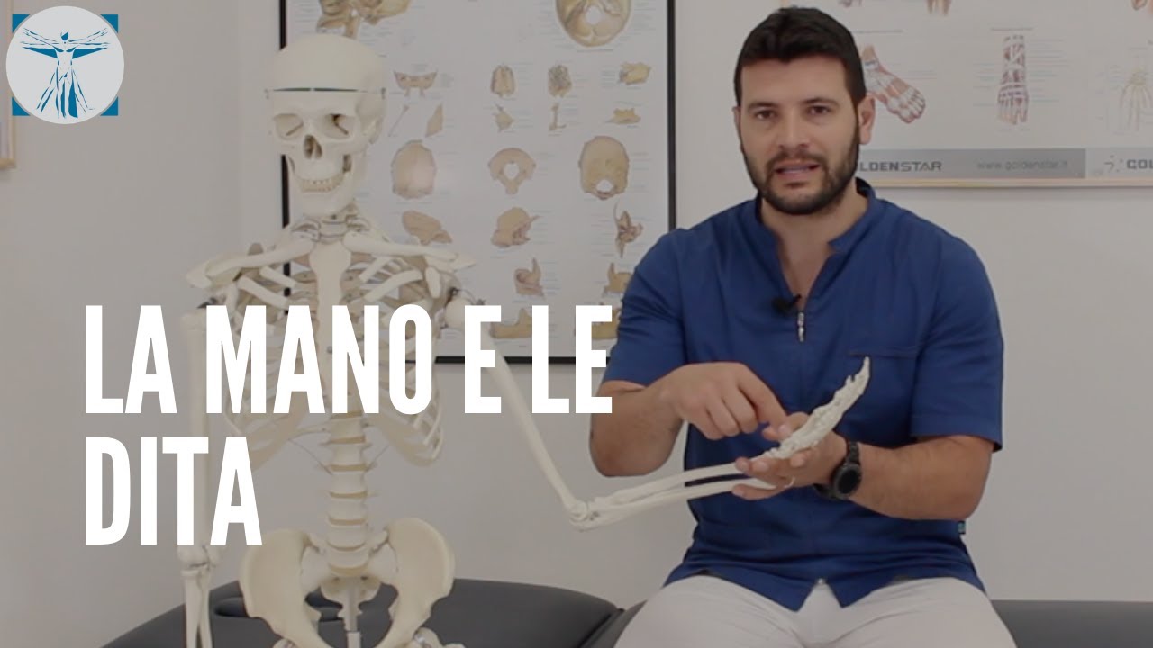 Routine di esercizi per dare alla mano e alle dita elasticità e mobilità 👇