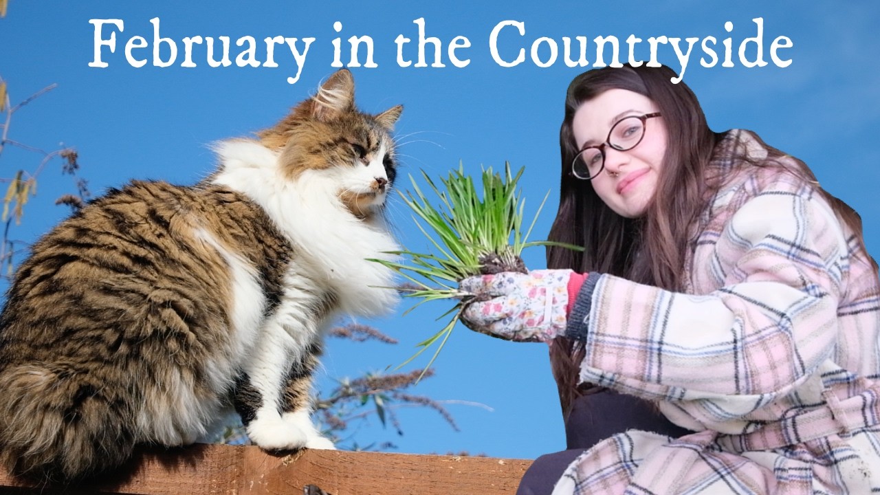 Spring is Coming 🌿 Charity Shop Finds, Dog Walks & Planting Daffodils | Countryside Living