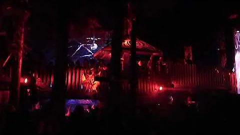 Doctor P, The Village, Shambhala 2011