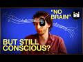 What No Brain Patients Teach Us About Consciousness Ideas For Our Time 