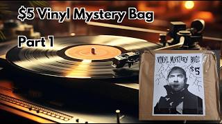 $5 Vinyl Mystery Bag - 1 of 2 | Worth It? 🎶