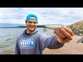 TOP WATER LURE Gets DESTROYED In Fish FEEDING FRENZY!! (Epic Blow Ups)