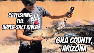 Upper Salt River Catfishing. Gila county, Arizona (3PB’s one day)
