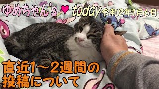 癒し画像に添えて、直近投稿についてのご案内 癒し画像に添えて、直近投稿についてのご案内