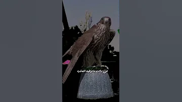 شعر ابيات قصايد حكم حالات واتس اب 