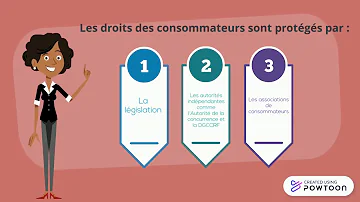 Quel est le rôle de l'Association de protection du consommateur ?