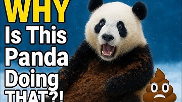 The Panda That Broke Evolution 🐼💀Nature’s cutest mistake ever made.