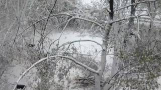 Snowfall in Ukraine Dnieper on 19 April 2017 Снегопад 19 апреля 2017 Днепр