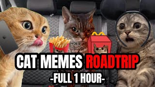 CAT MEMES: ONE HOUR OF ULTIMATE CAT MEMES ROADTRIP by OhCrayZ 444,840 views 3 weeks ago 1 hour, 45 minutes