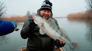 ЧУДО РЫБАЛКА! ЛОВИТСЯ ЛЮБАЯ РЫБА Рыбалка в Астрахани 2024