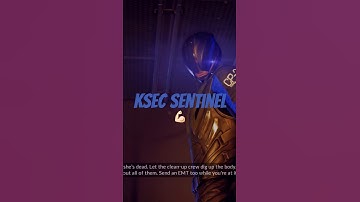 Meeting a Sentinel in Mirror