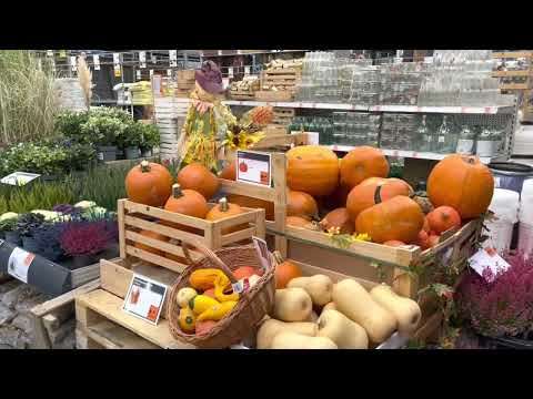 Видео: Castorama дэлгүүрүүд - гал тогоо: тойм, алдартай бараа