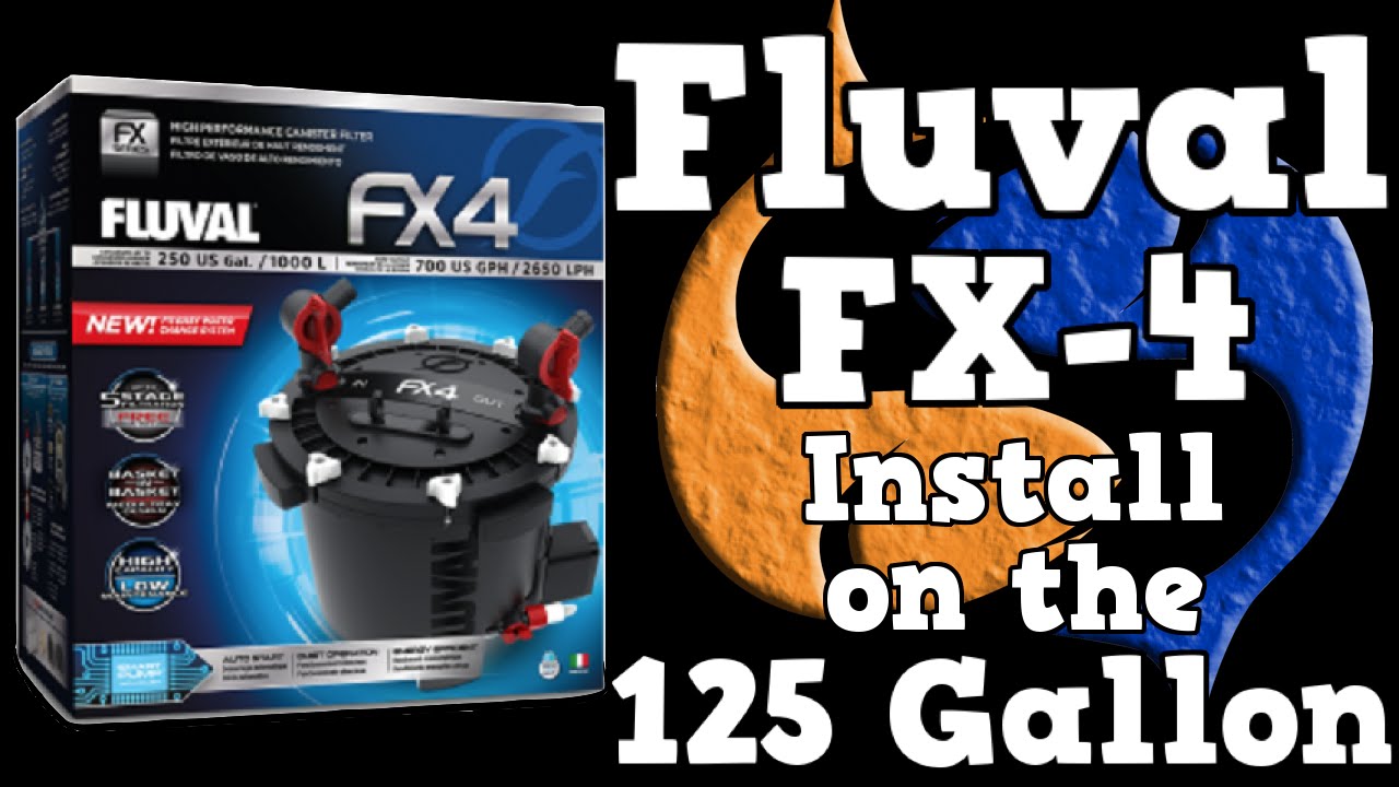 Fluval FX-4 Install for the 125 Gallon Overhaul! KGTropicals!! - YouTube