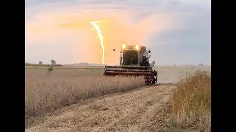 Gleaner F3 Combine Cutting Beans