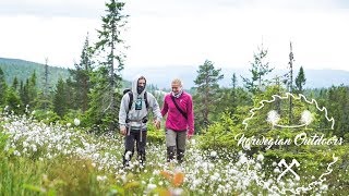 A beautiful hike in the Norwegian mountains