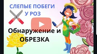 ВЕСЕННИЕ РАБОТЫ В САДУ.КАК УДАЛИТЬ СЛЕПОЙ ПОБЕГ.СЛЕПЫЕ ПОБЕГИ У РОЗЫ.МОЙ ОПЫТ.VLOG Франция