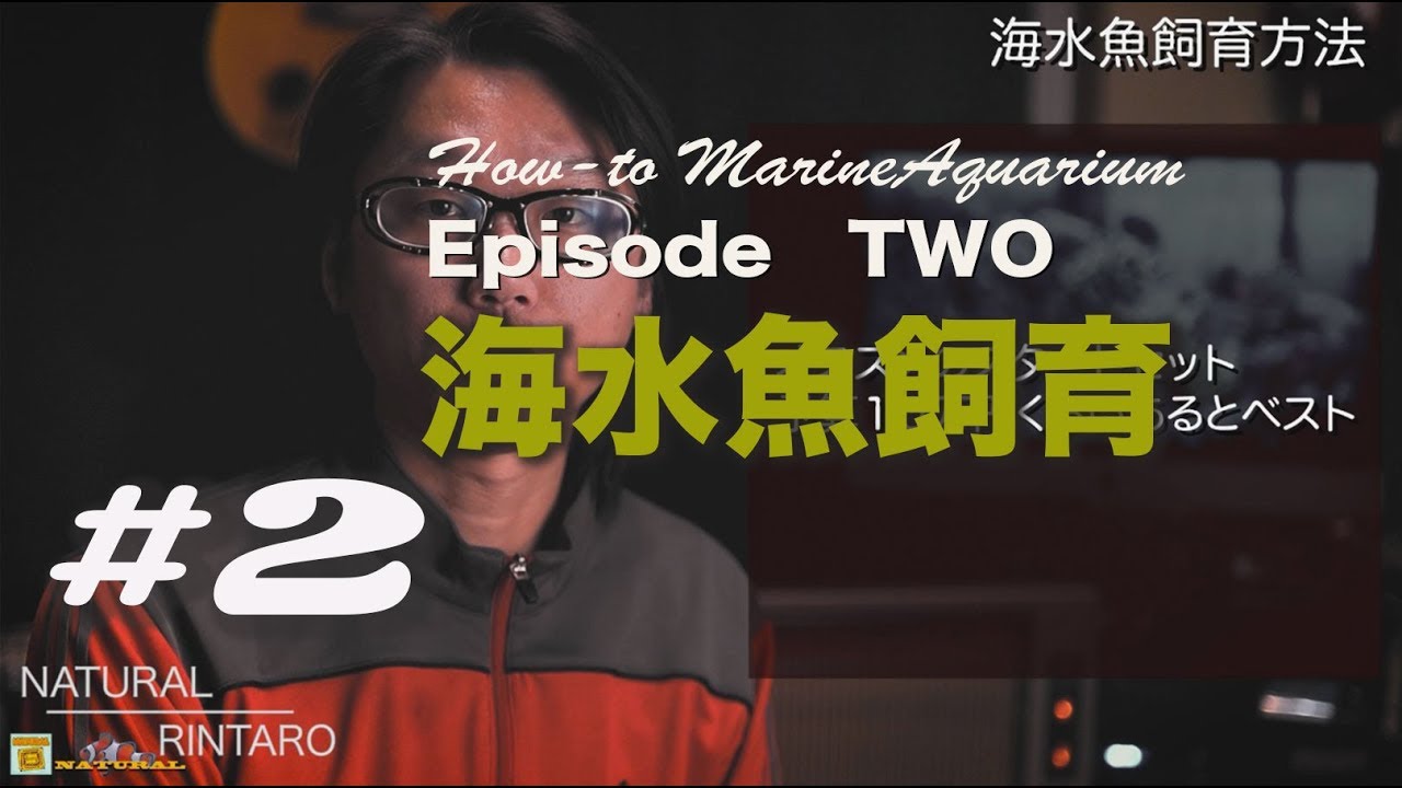 海水魚飼育 02 水槽セットの予算について Youtube