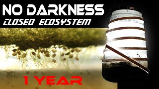 No Darkness FOR A YEAR  Ecosphere