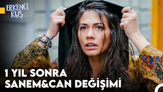 Sanem'in Aşkı Bulma Yolculuğu #131 - Erkenci Kuş