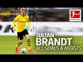 Julian Brandt - All Goals & Assists 2019/20