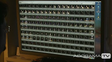 Editing Tight: Two Minute Tips with David Bergman
