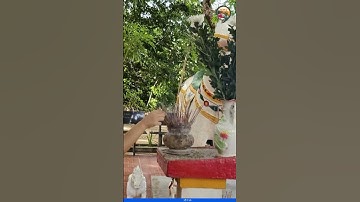 Du khách bức xúc khi không được đốt vàng mã ở Côn Đảo